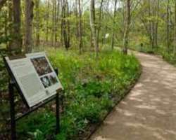 You can find broad-leaved hardwood trees and associated shade-tolerant plants in the woodland area of the park.